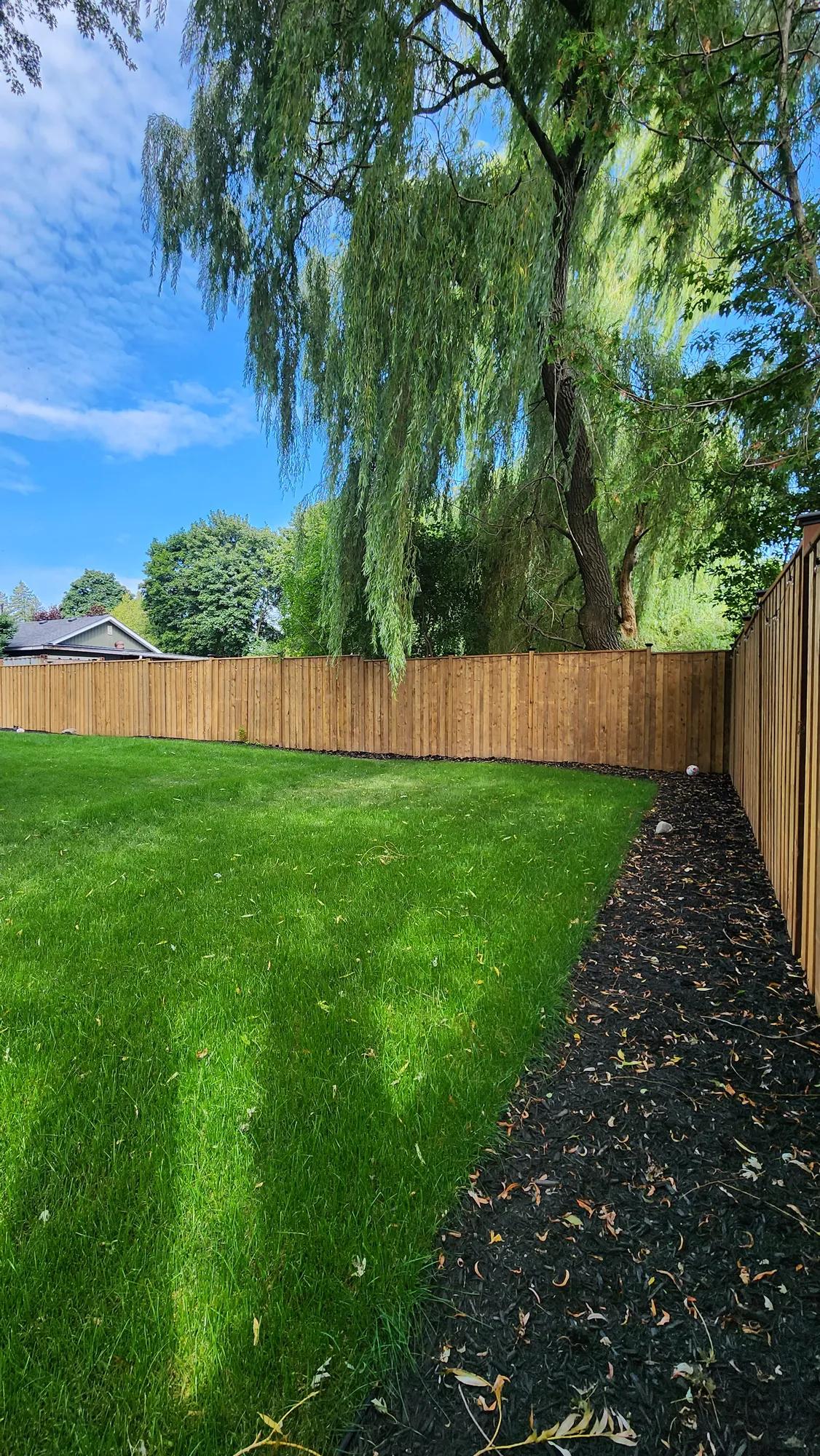The fence run with a fresh mulch bed along the base, Clarington