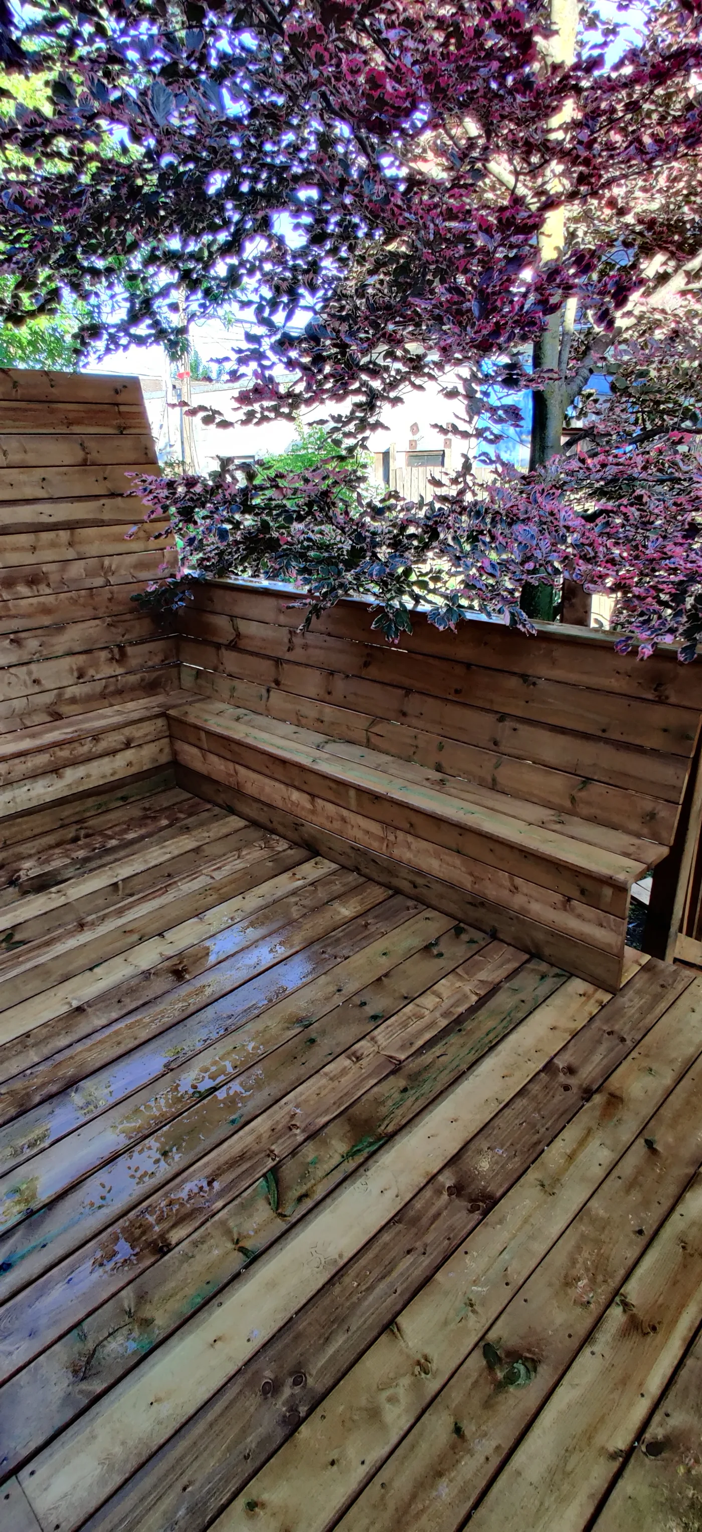 Bench built into the privacy wall along the back of a rebuilt North York deck