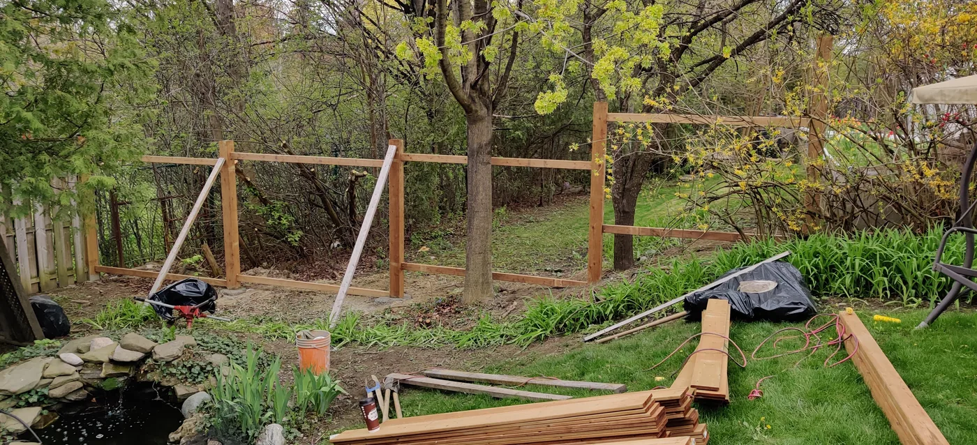 Posts and rails set between mature trees on the Oakville fence line