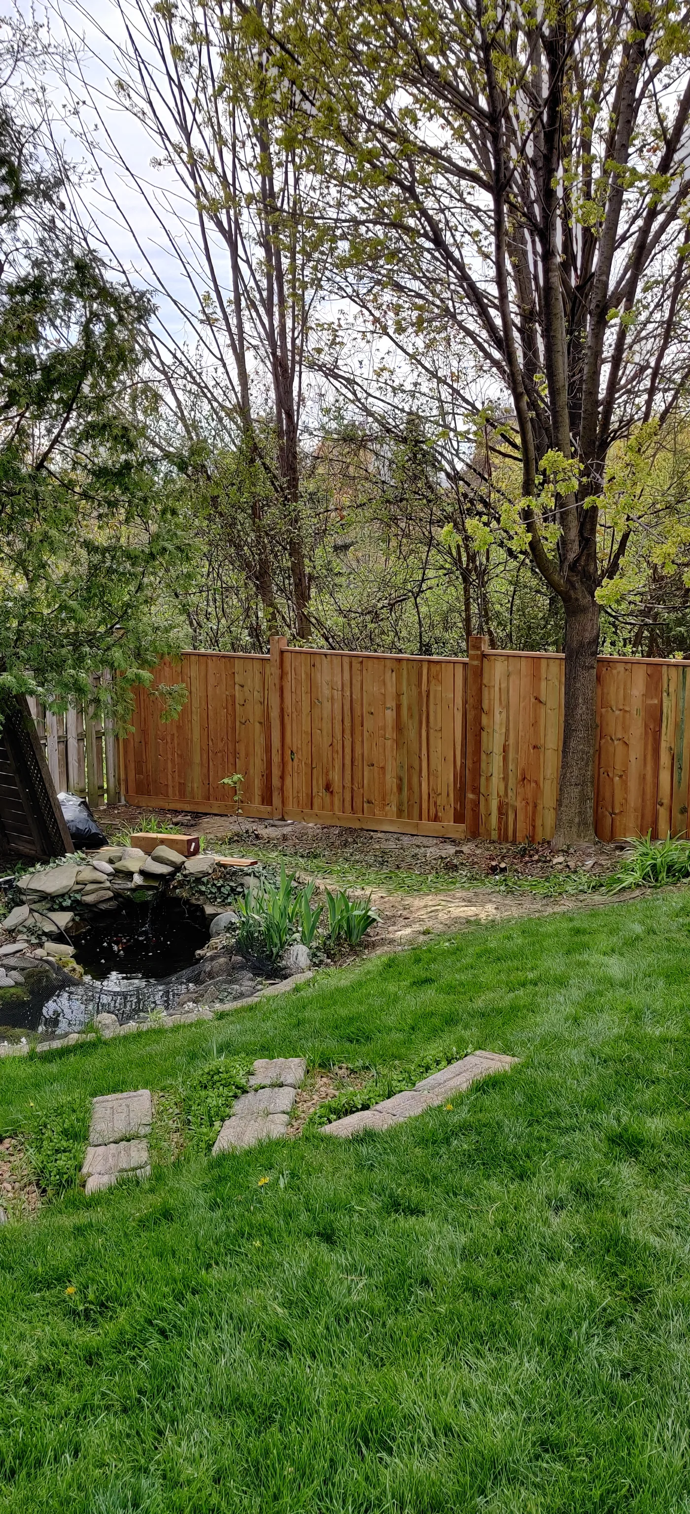 The finished fence along the rear boundary of the Oakville yard