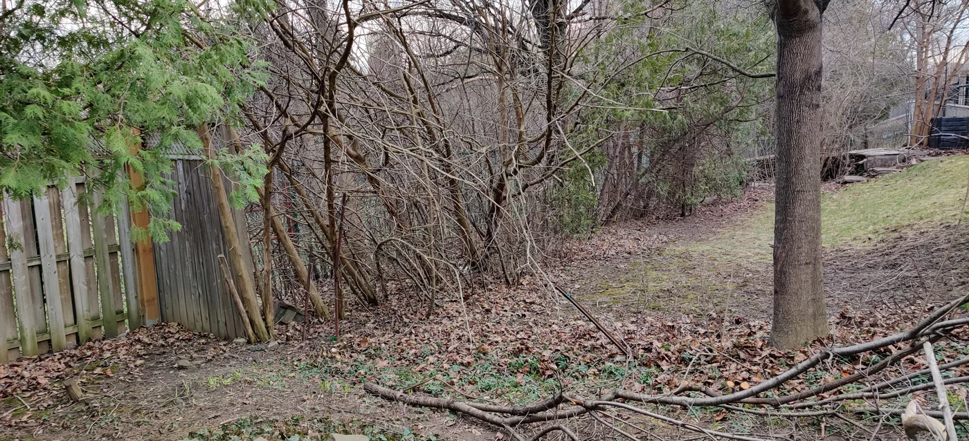 The old grey fence on the Oakville property line before replacement
