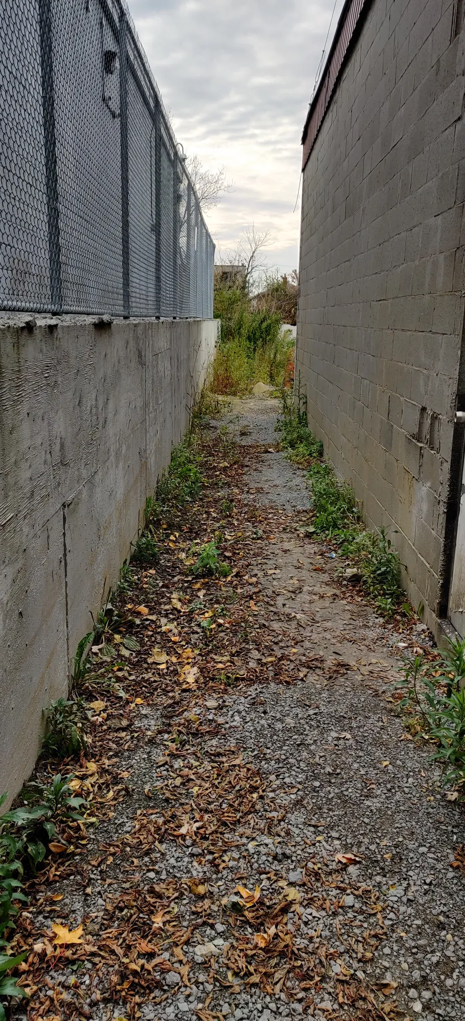 The gap between the two buildings before the fence went in, overgrown and open to the street, Scarborough