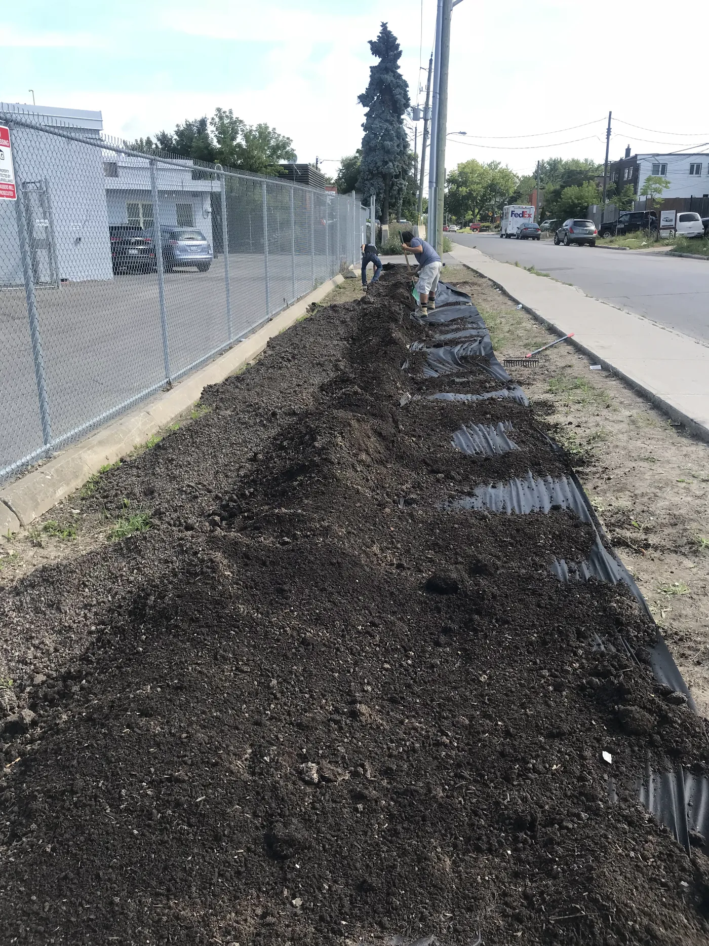 Topsoil spread and graded along the street boulevard after the fence went in, Scarborough