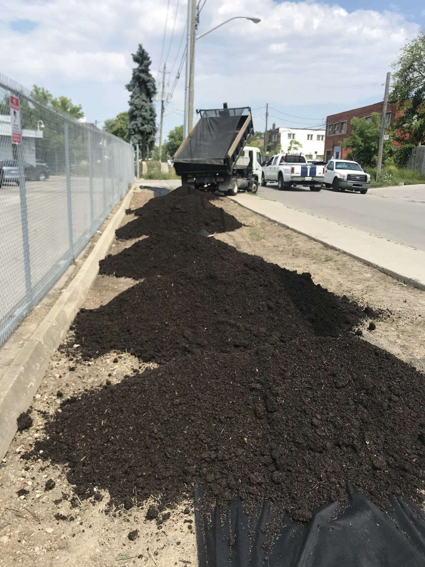 Topsoil being tipped along the new fence line from the back of a dump truck, Scarborough