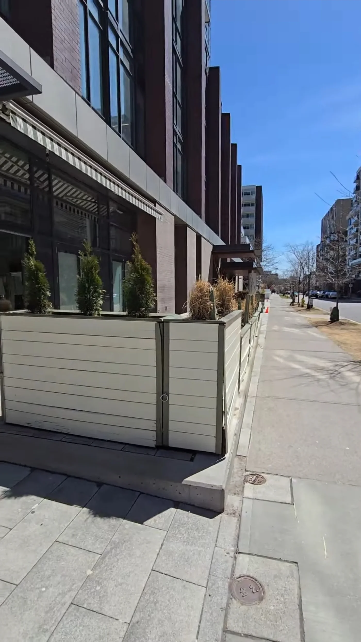 Painted planter walls and shrubs around the patio before the new screen went in