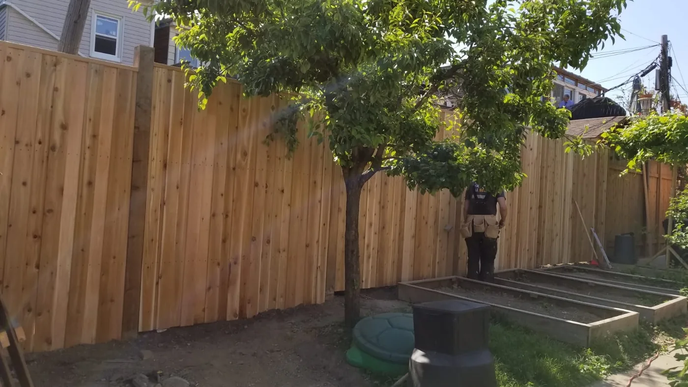Solid board cedar privacy fence running the property line past a mature tree in Vaughan